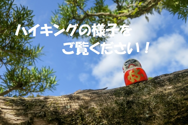 2026年3月27日(金)のハイキングの様子を公開しました