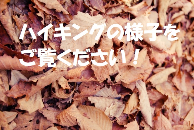 2026年1月13日（火）のハイキングの様子を公開しました