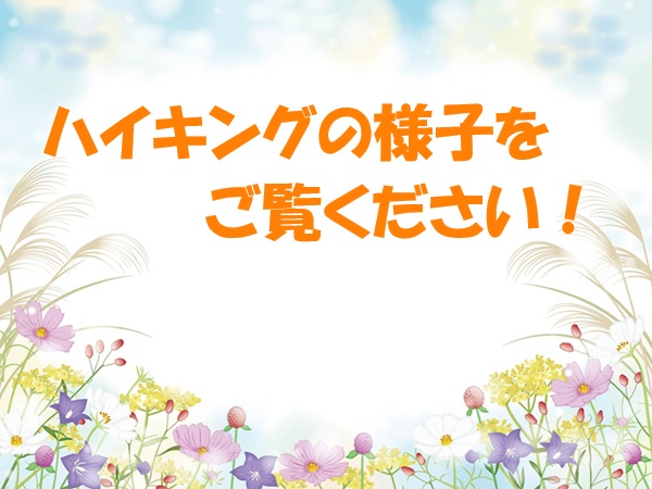 2025年10月13日(月・祝)のハイキングの様子を公開しました
