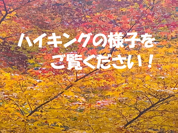 2025年12月7日(日)のハイキングの様子を公開しました