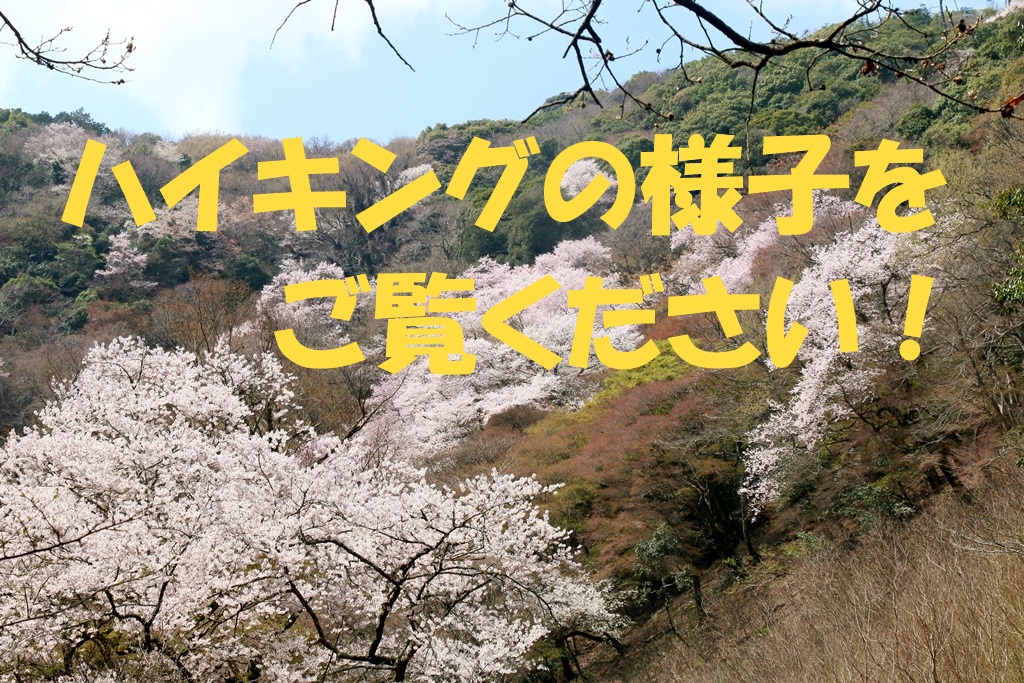 2026年4月5日（日）のハイキングの様子を公開しました