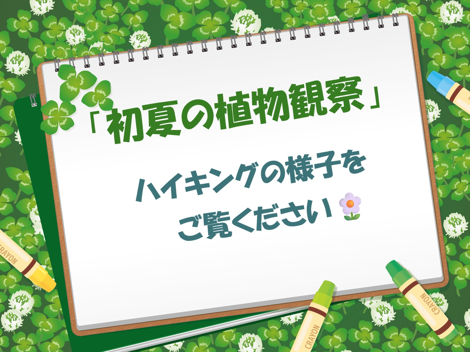 2026年5月11日（月）のハイキングの様子を公開しました