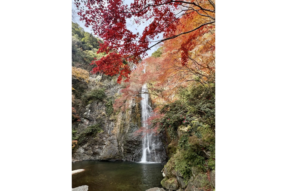 令和7年度もみじまつり写真コンクール入賞作品
