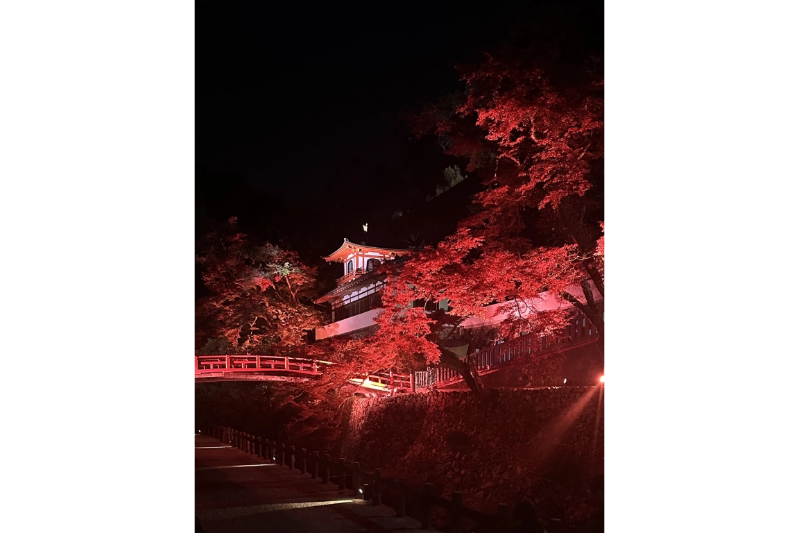 箕面市議会議長賞 Fernia Noelesa@hus.bento様