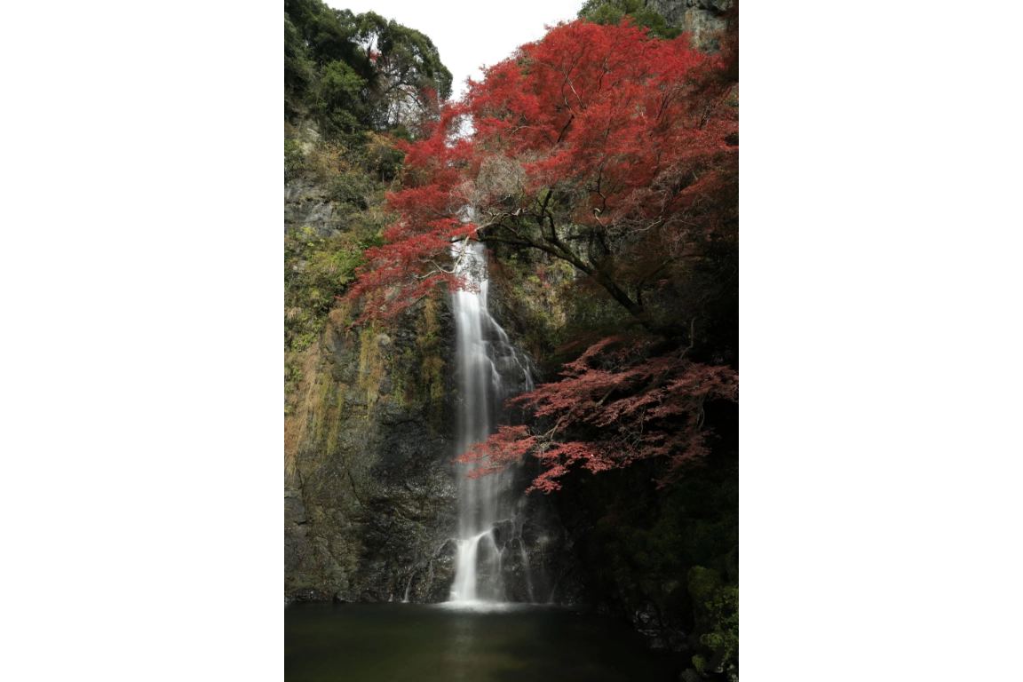 箕面商工会議所会頭賞 massattacker@massattacker様