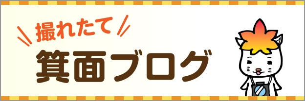 撮れたて箕面ブログ