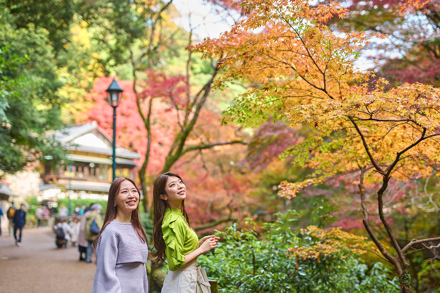 明治の森 箕面国定公園