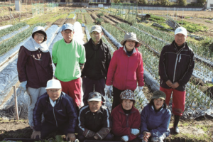 無農薬野菜の収穫体験