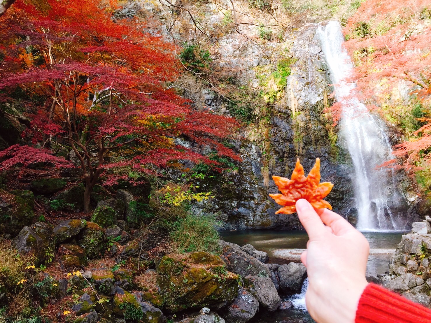 箕面 の 滝