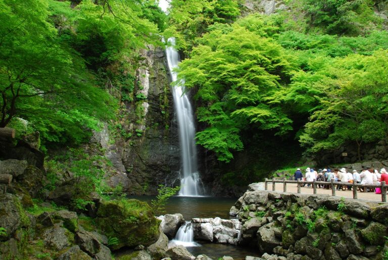 【オープンハイキング】2025年7月9日（水）：滝道・箕面大滝