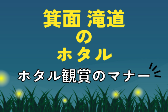 蛍観賞のマナー