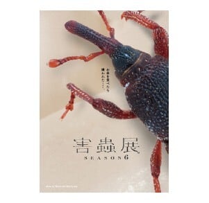箕面公園昆虫館　巡回展「害蟲展season6～ワルモノにされたイキモノたち～」