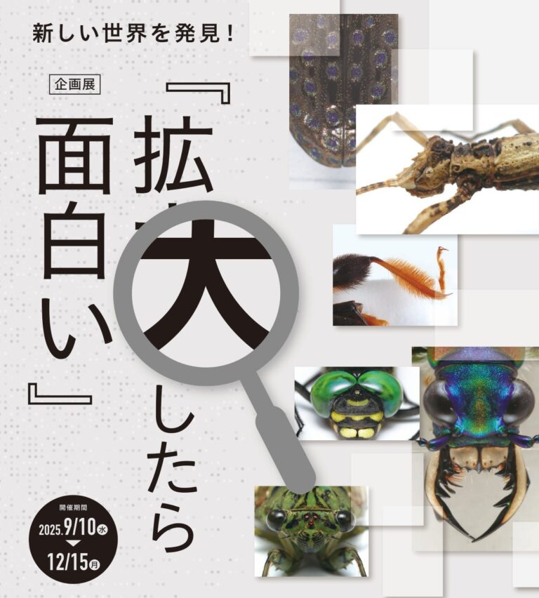 箕面公園昆虫館　企画展「拡大したら面白い」