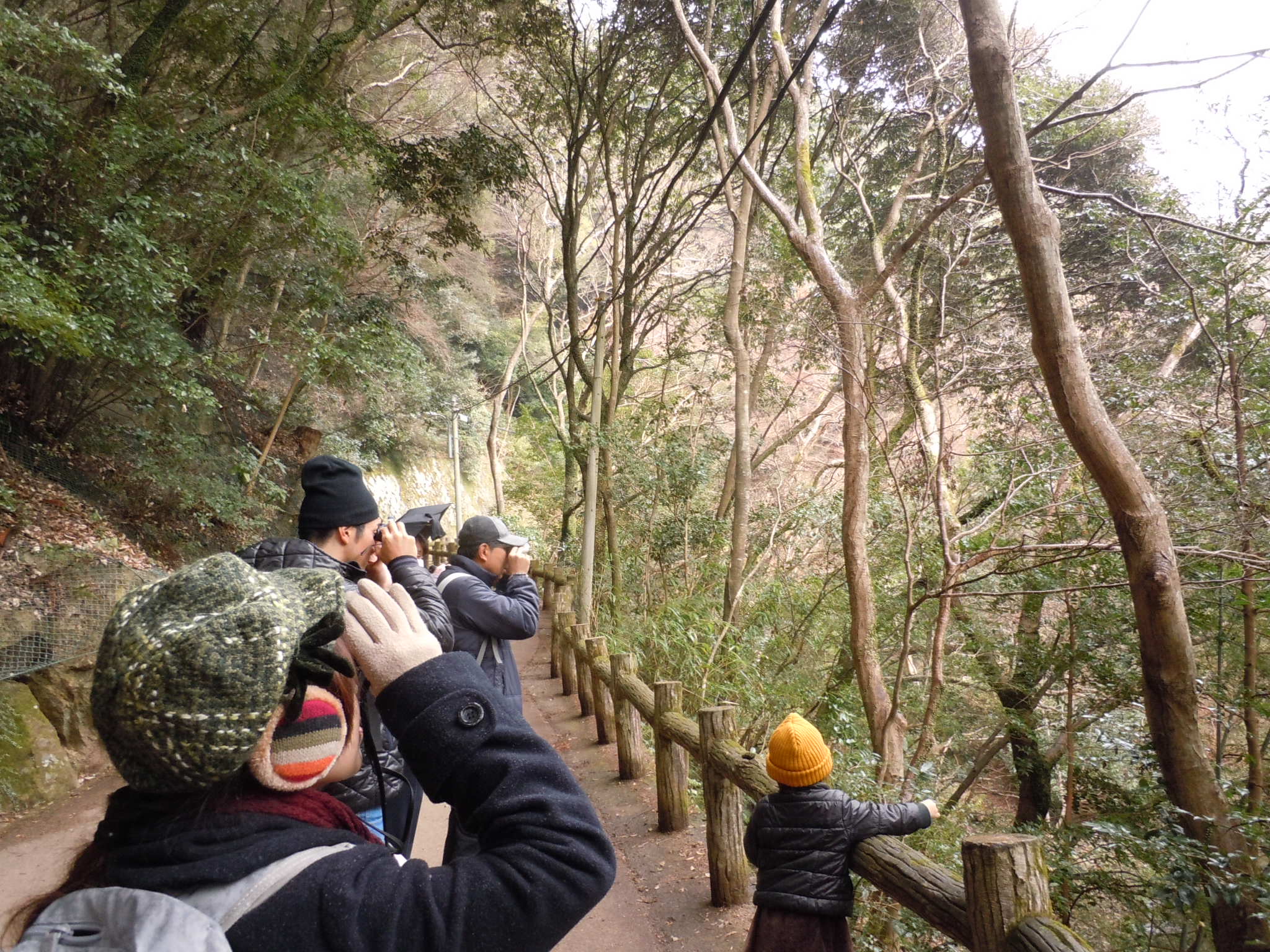 1月25日　みのおこうえん自然観察会「冬の野鳥と木の実をさがそう」（対象：小学生～大人）　