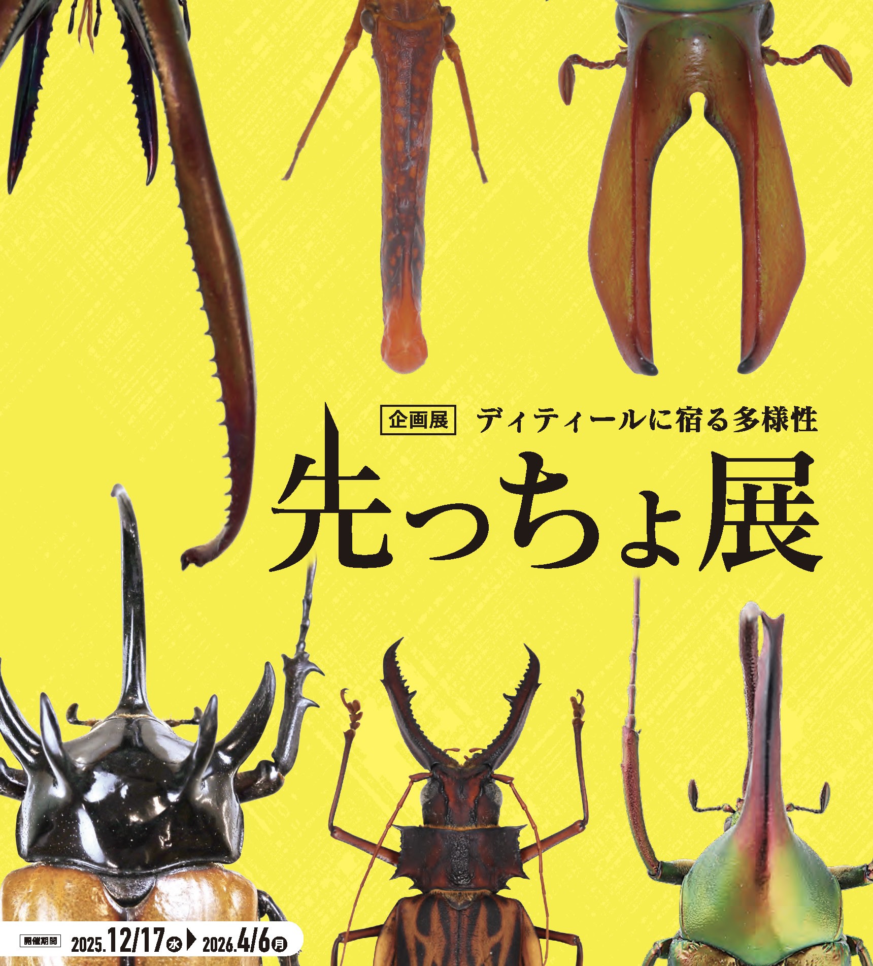 箕面公園昆虫館　企画展「先っちょ展」