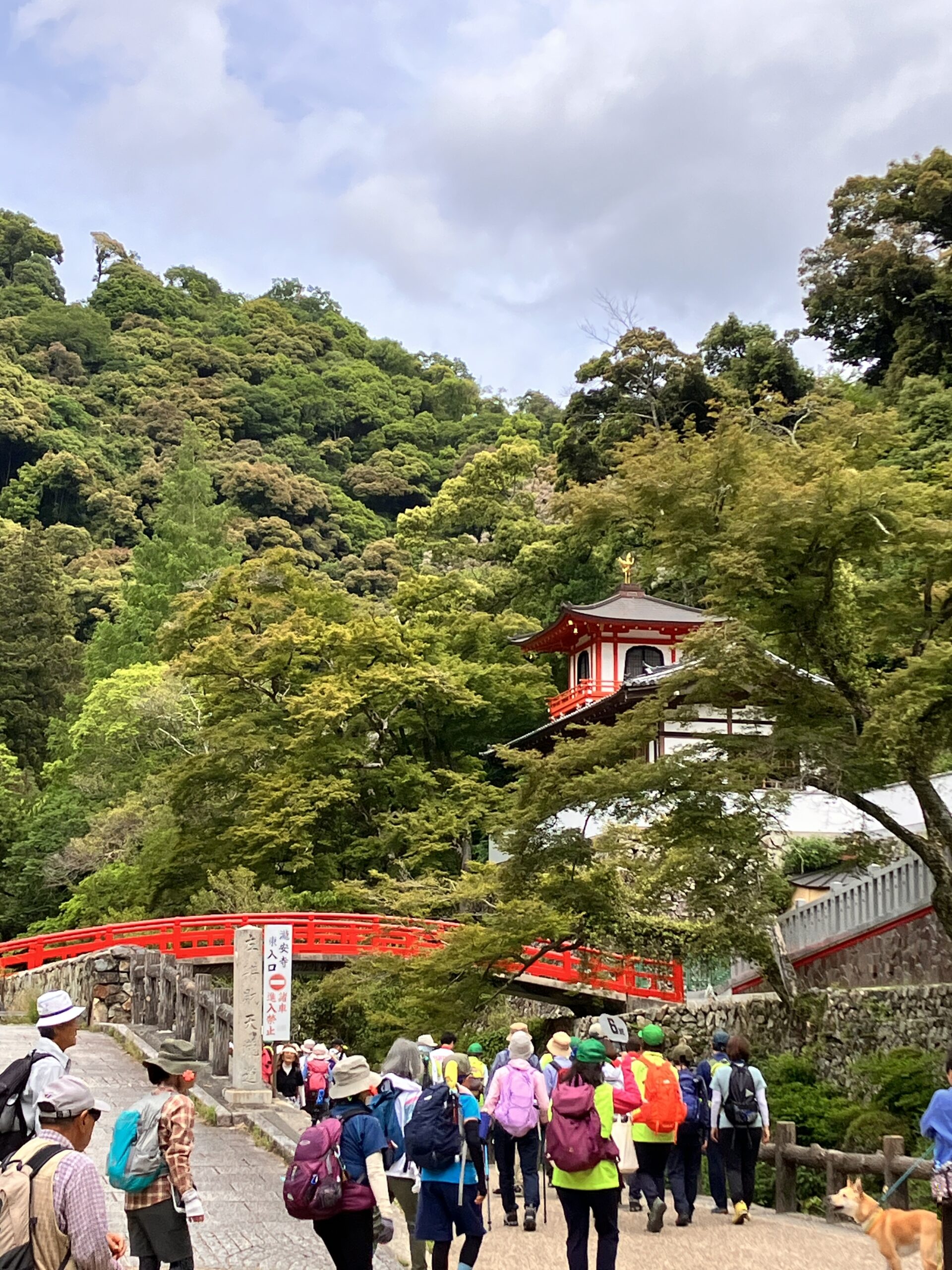【オープンハイキング】2026年2月11日（水・祝）：六個山を目指す