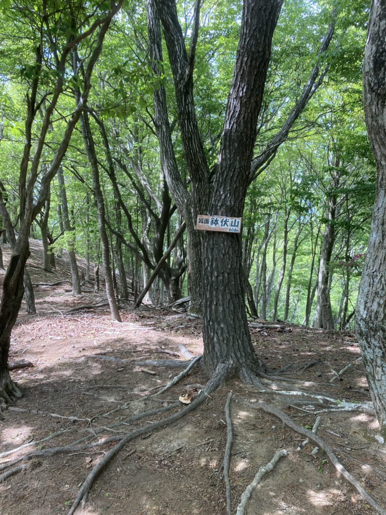 【オープンハイキング】2026年4月22日（水）：鉢伏山を目指して