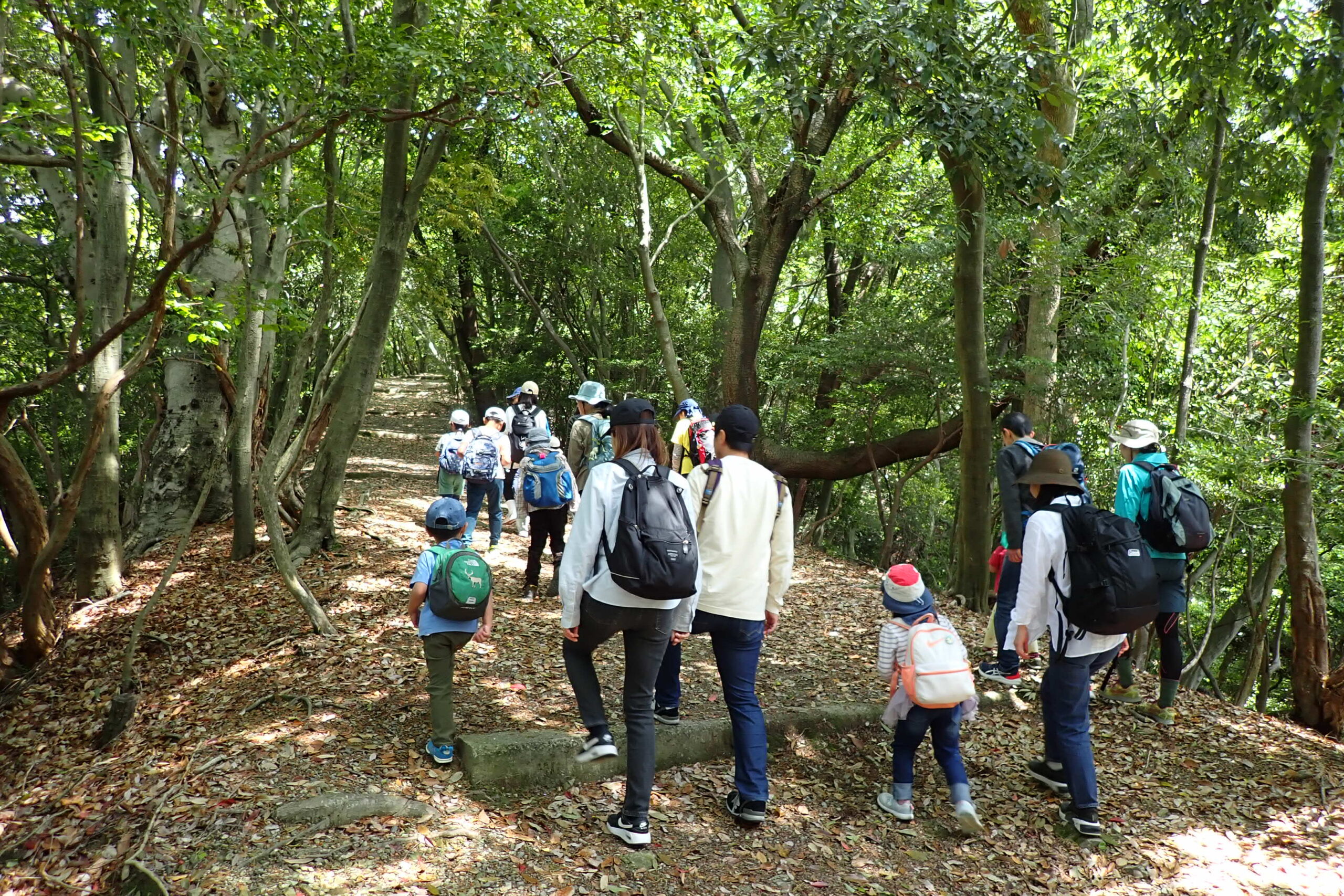 みのおの森でおやこトレッキング