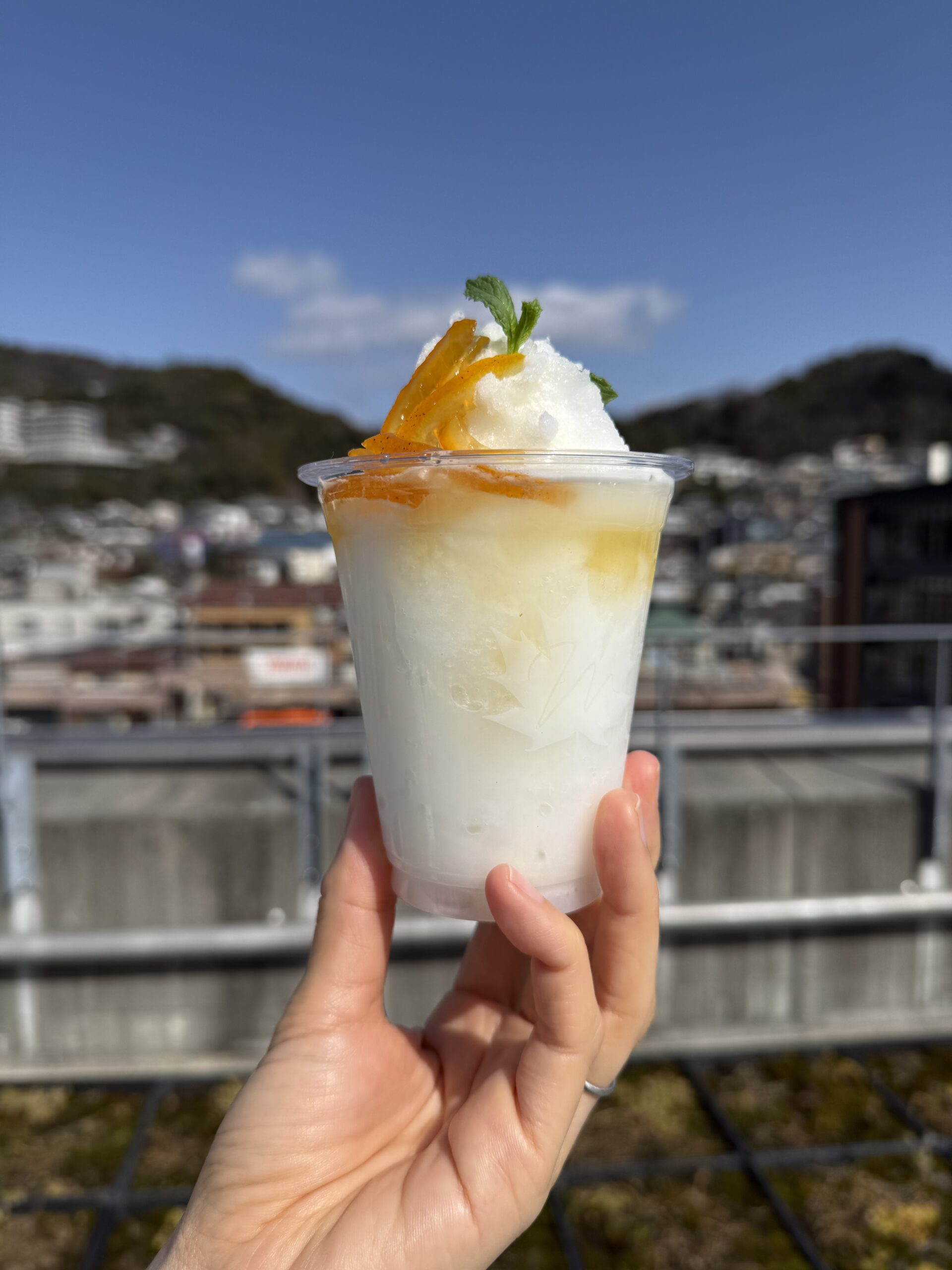 箕面デニッシュ サトウカエデ