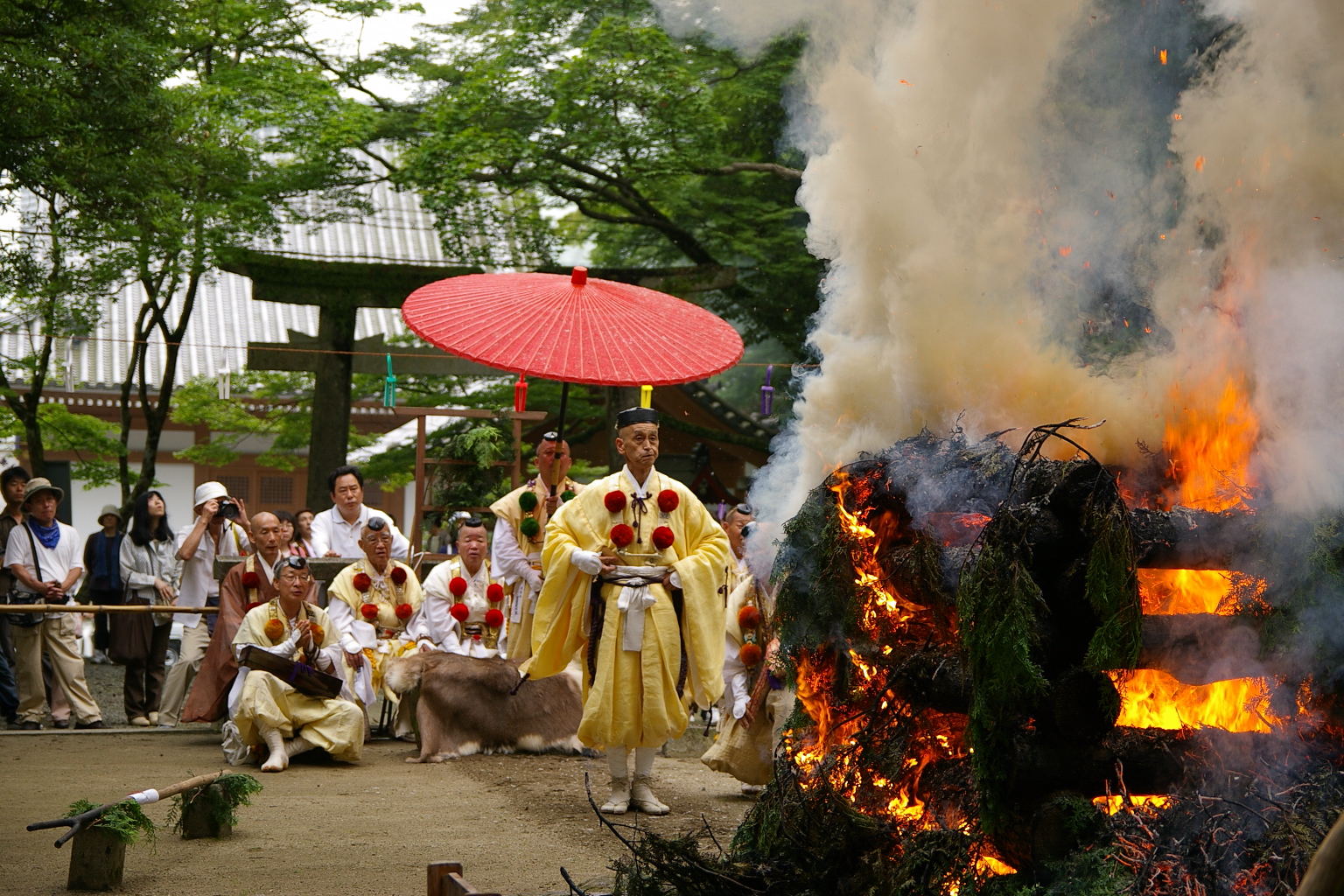 【募集型ハイキング】2026年4月15日（水）：瀧安寺 大護摩(戸開法要)と箕面大滝