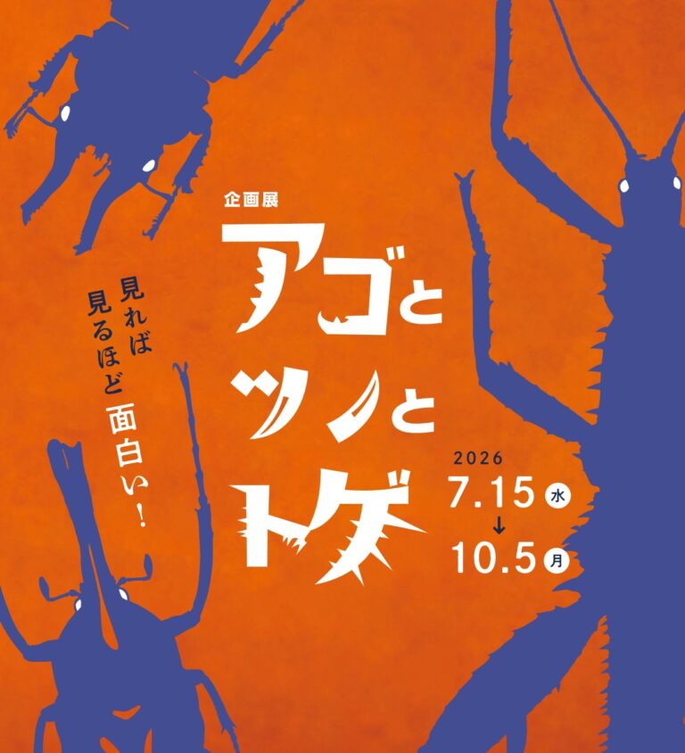 箕面公園昆虫館企画展　～かっこよくて面白い！～「アゴとツノとトゲ」