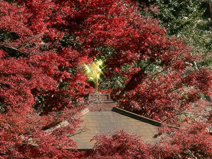 箕面山瀧安寺 鳳凰閣・客殿（圓満殿）秋の特別拝観